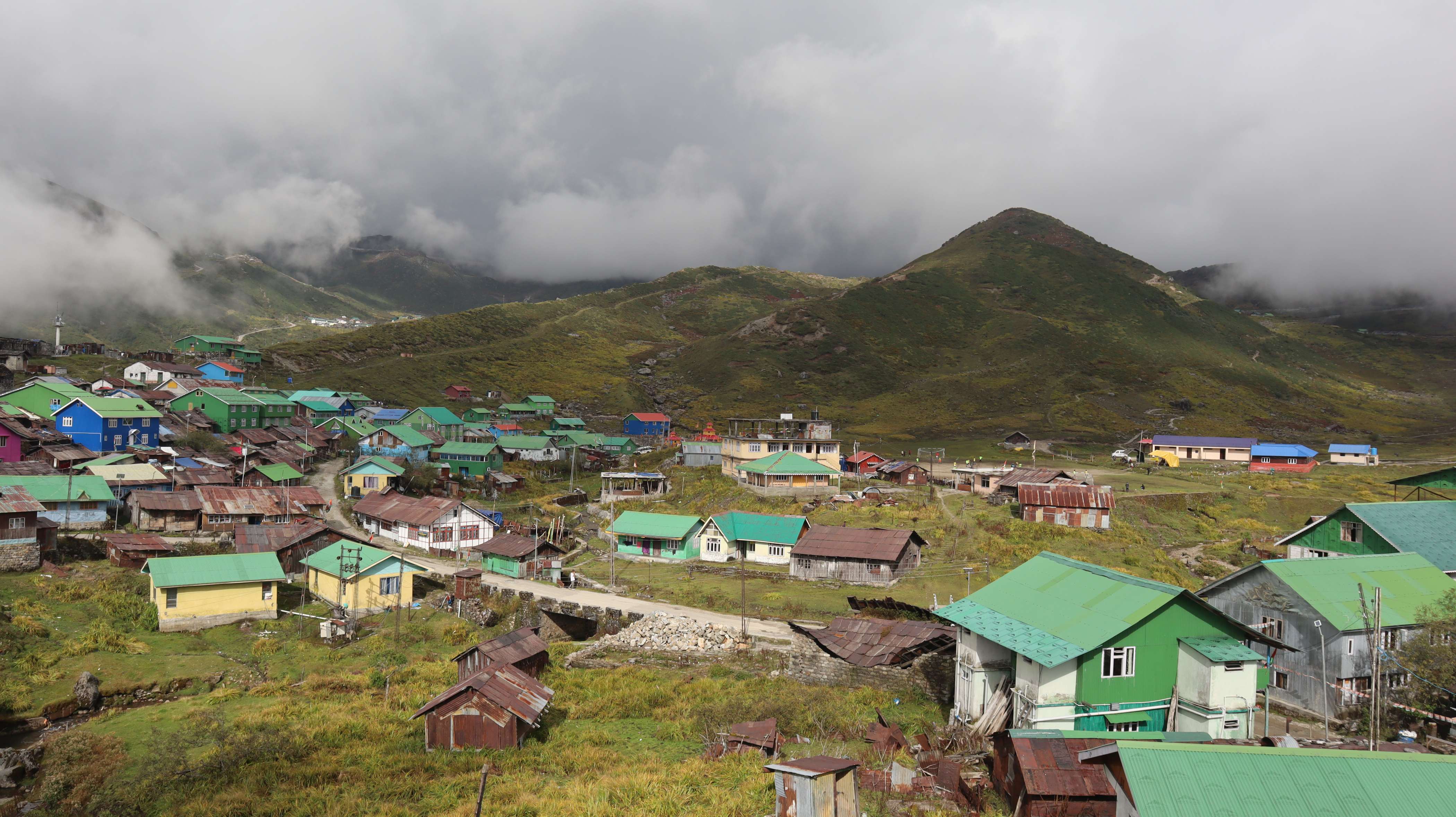 Golden Trout Residency