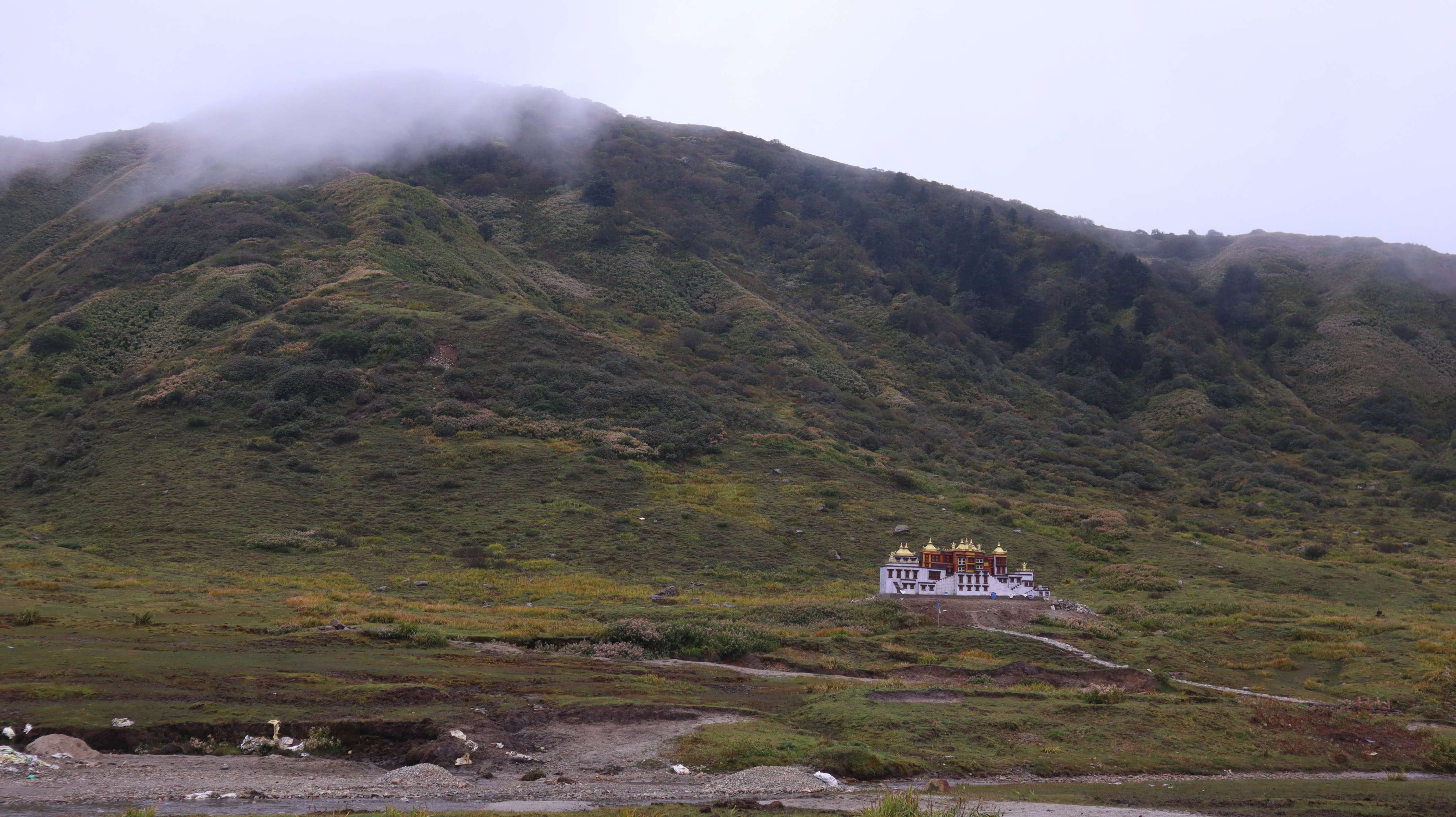 Golden Trout Residency