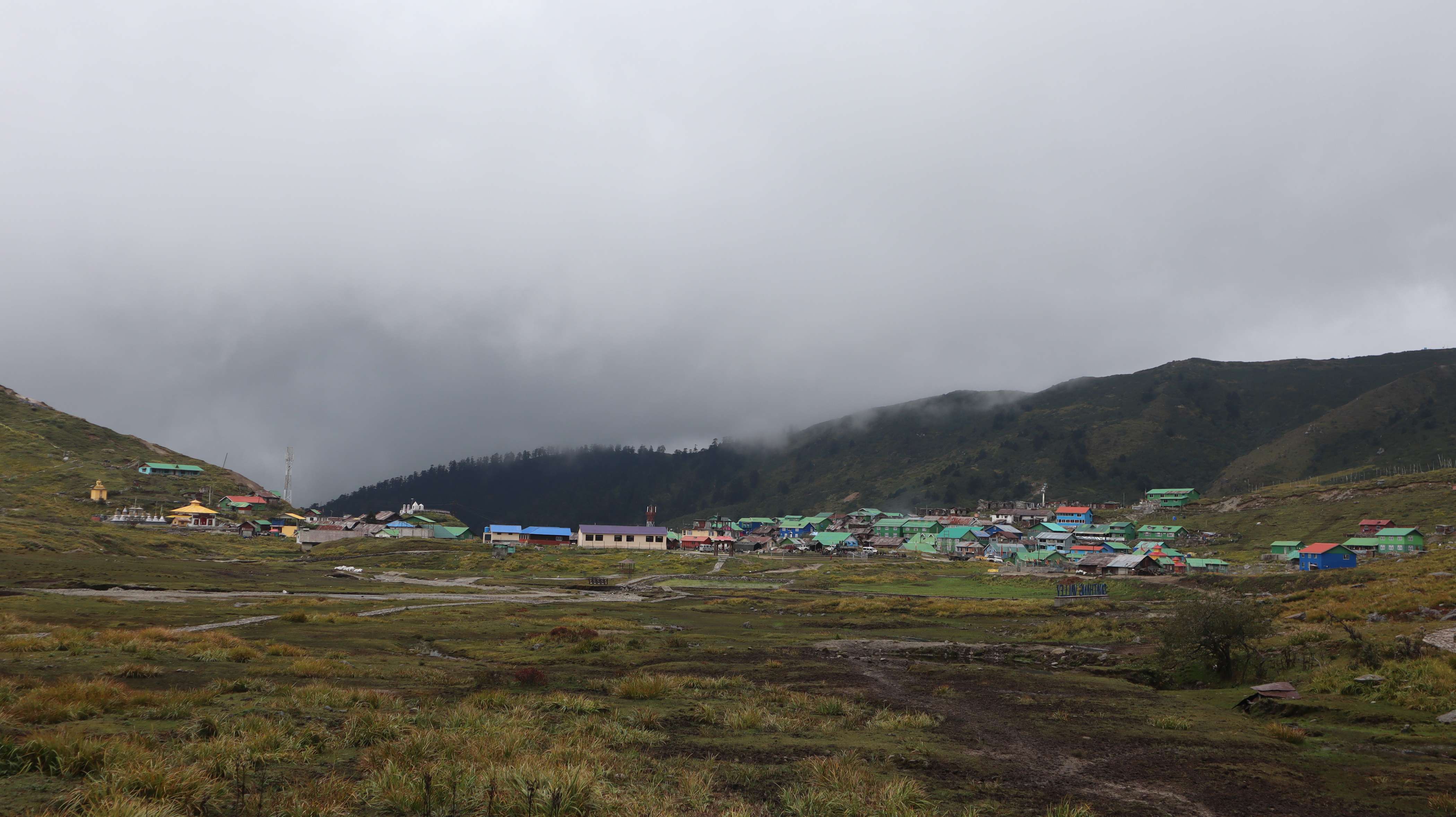 Golden Trout Residency