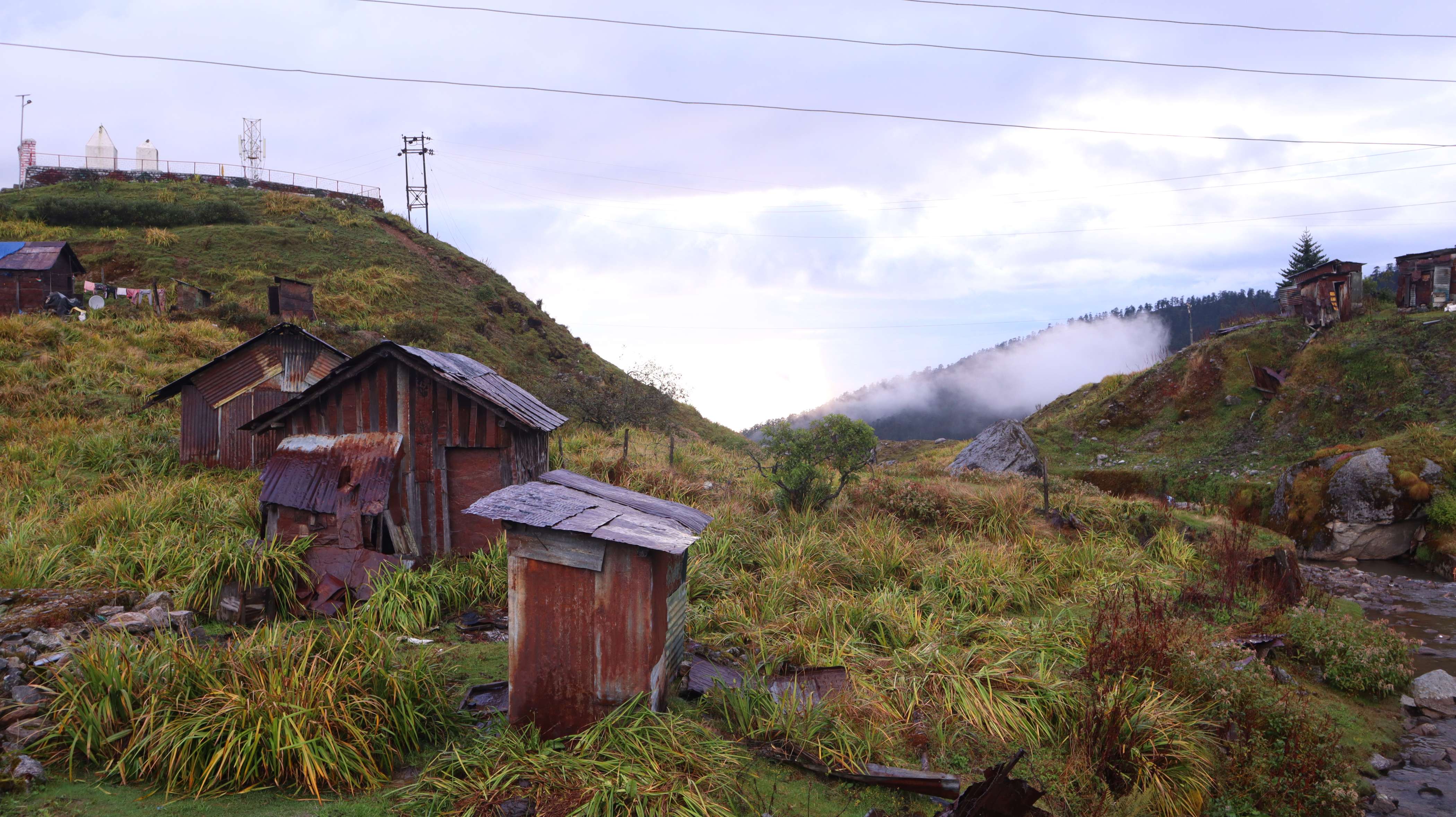 Golden Trout Residency