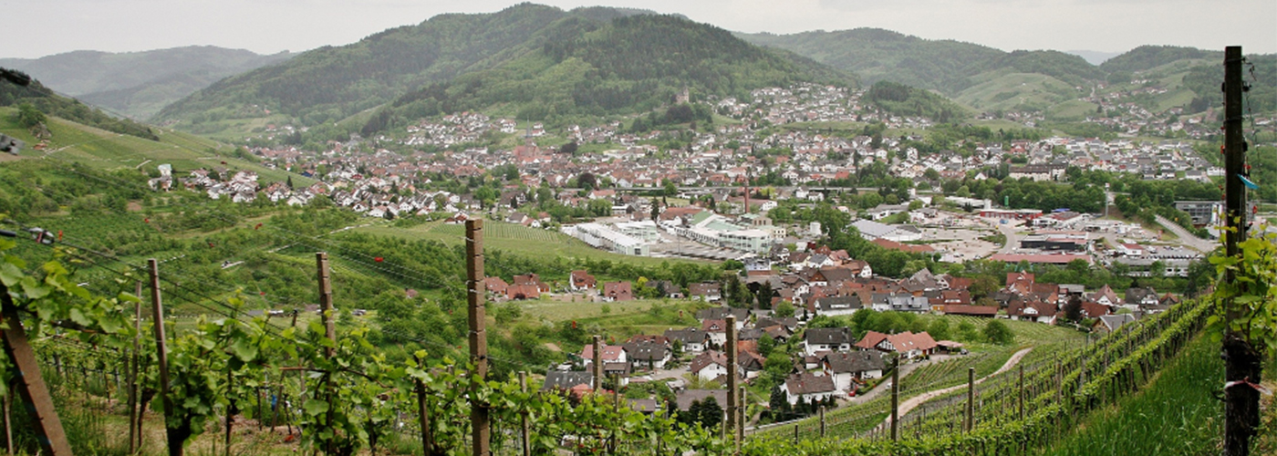 Discover Zuluk